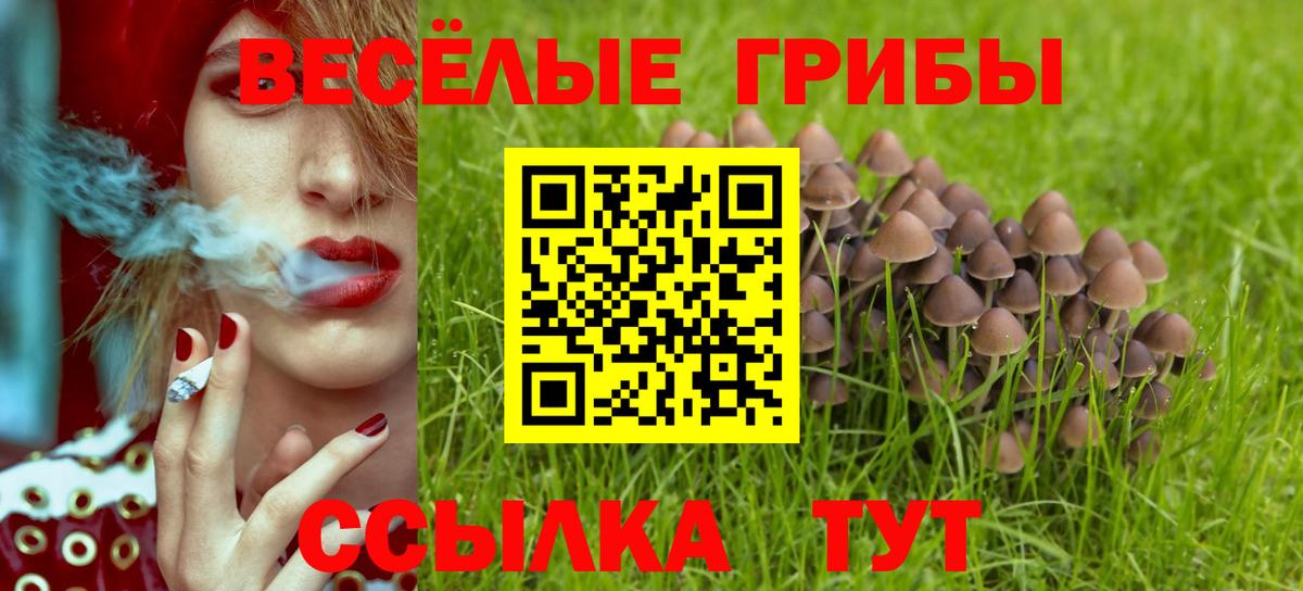 Псилоцибиновые грибы GOLDEN TEACHER  Вход с VPN  Кизляр 